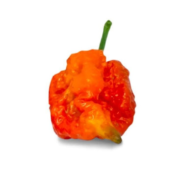 Skunk Red Pepper Seeds - The Pepper Pantry (Formerly Marie Sharp's)